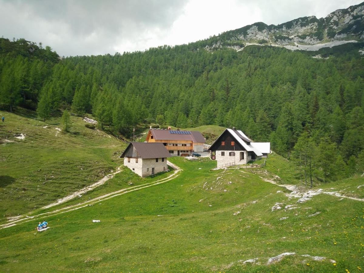 Homestead Zatrnik Near 布莱德 外观 照片